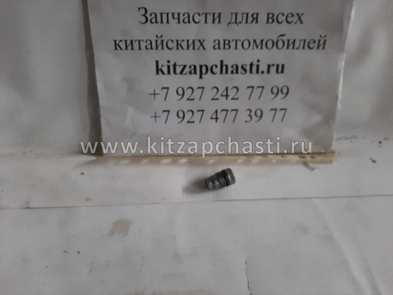 Клапан редукционный сброса давления топлива (рампы) NEXT,Бизнес Cummins ISF 2.8 0031015087 Bosch