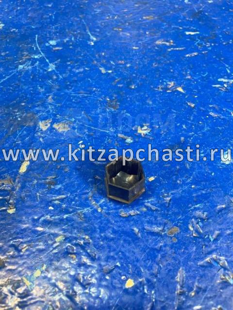 Колпачок декоративный болта крепления колеса Tank 300 3101019XKW09A